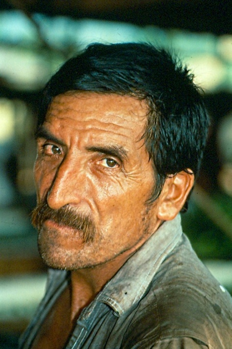 Banana plantation manager, Belize, 1993